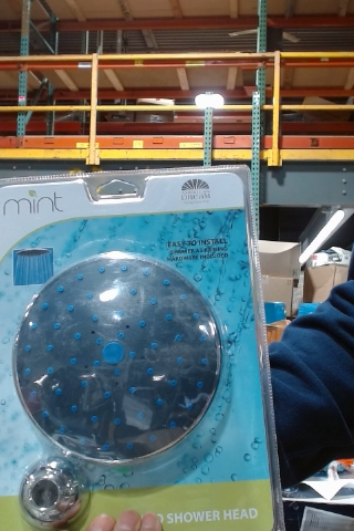 MINT Shower Head