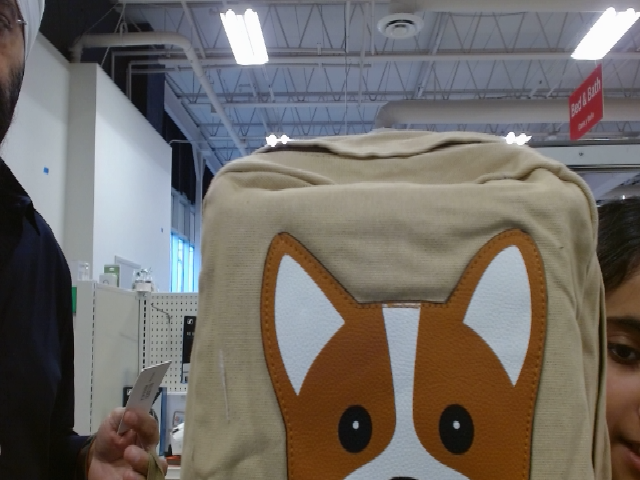 Corgi Dog Canvas Backpack