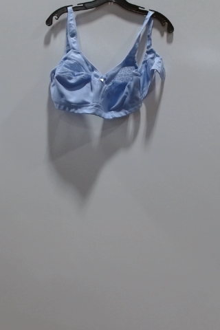 Blue Bra