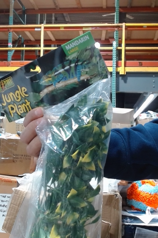 Exo Terra Mandarin Jungle Plant Large