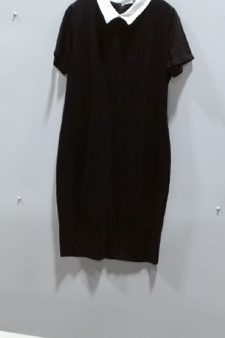 Classic Black & White Collared Dress