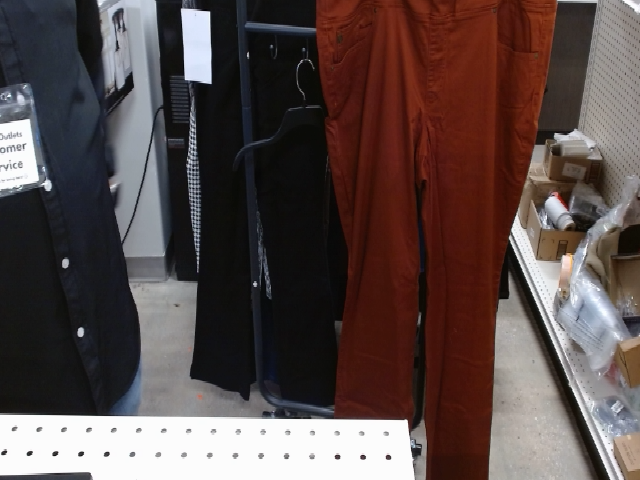 Rust Colored Pants