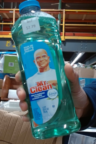 Mr. Clean Multi-Surface Cleaner Meadows & Rain 24 fl oz