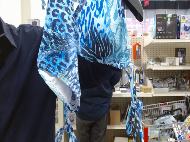 Blue Animal Print Bikini Set