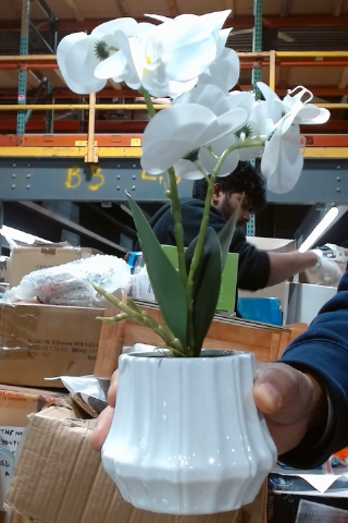 White Ceramic Orchid Flower Pot