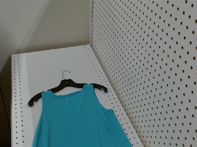 Sleeveless Dress