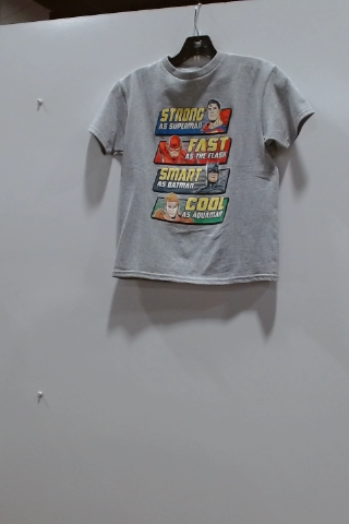 DC Comics Justice League Heroes Short Sleeve Crew Neck Graphic T-Shirt