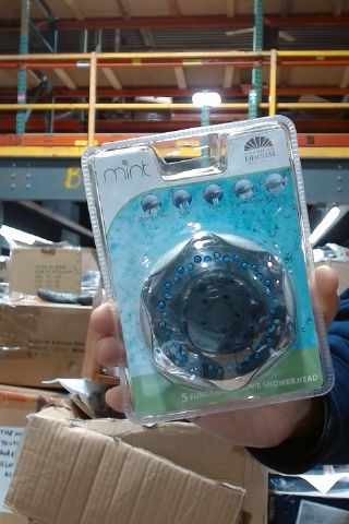 DreamStream Mint Shower Head