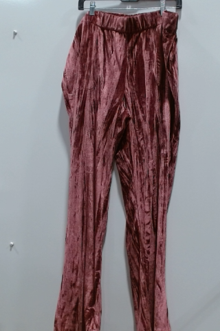 Torrid Velvet Pants Size 1