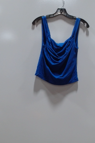 Blue Blouse