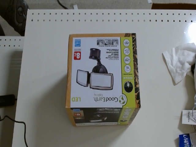 Good Earth Lighting 8-LED Security Light