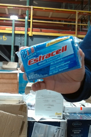 Brillo Estracell Basics Sponges, 2-Pack