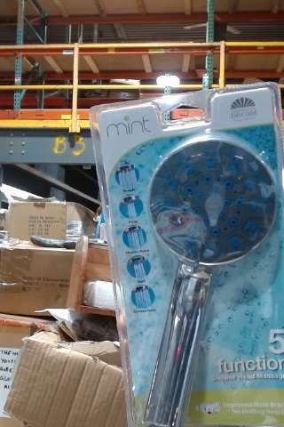 Mint Dream 5 Function Shower Head