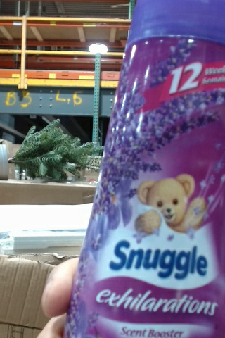 Snuggle Exhilarations Scent Booster