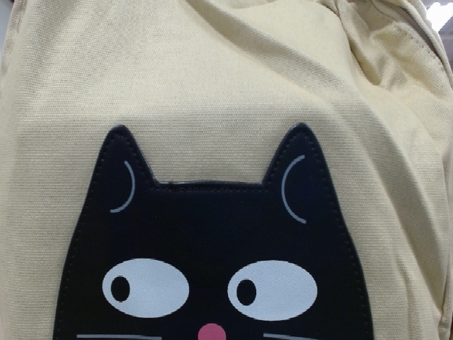 Canvas Cat Bag
