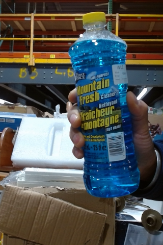 First Force Mountain Fresh All Purpose Cleaner