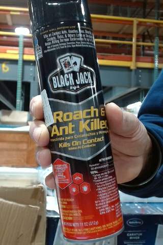 Black Jack Roach and Ant Killer