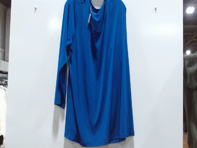 Blue Blouse