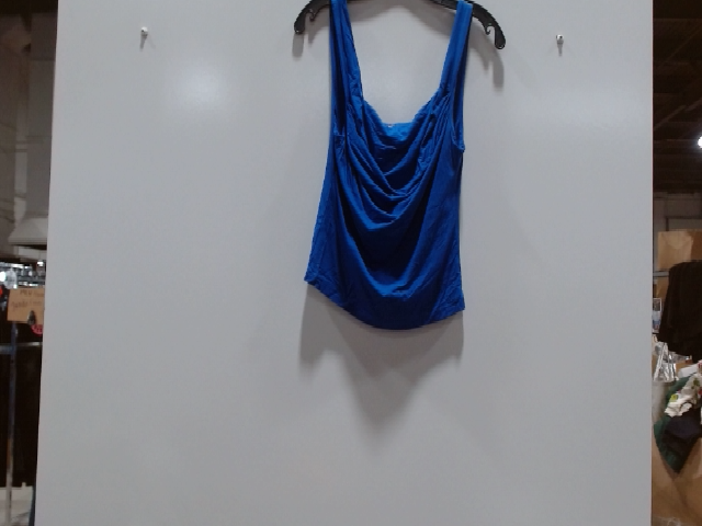 Blue Blouse