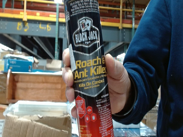 Black Jack Roach and Ant Killer