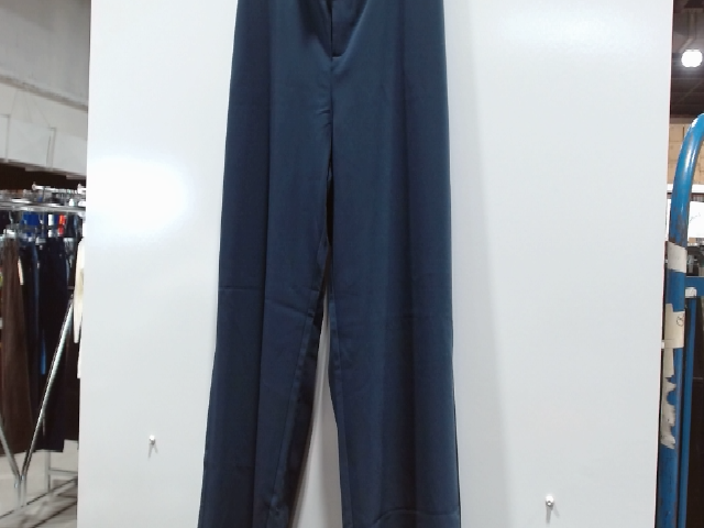 Blue Pants