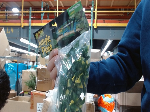 Exo Terra Mandarin Jungle Plant Large