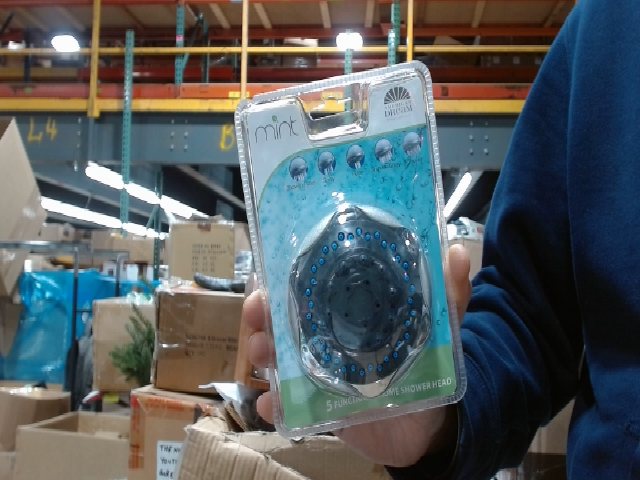 DreamStream Mint Shower Head