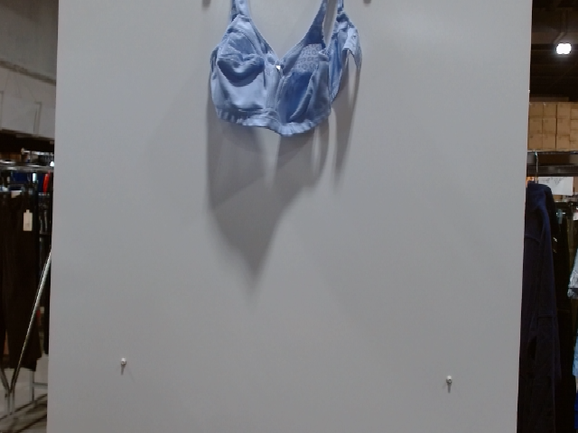 Blue Bra