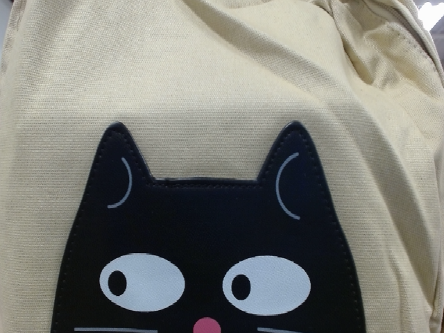 Canvas Cat Bag
