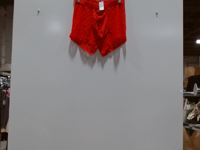 Red Lace Activewear Shorts
