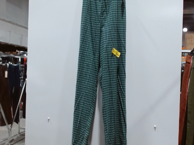 Women's Green Gingham High-Waisted Pants