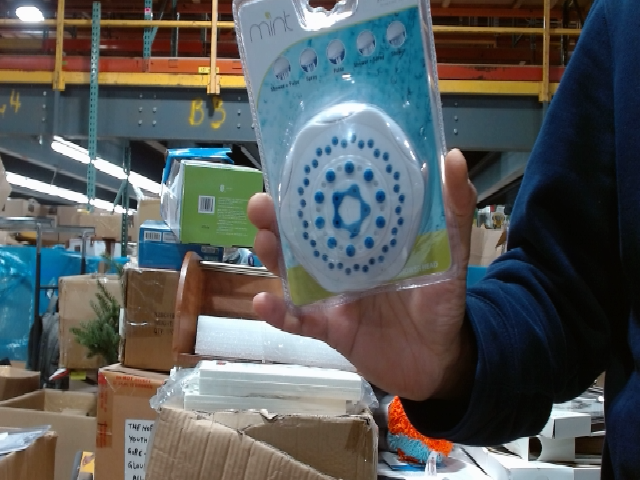 Dream Spa Mint Filter Showerhead