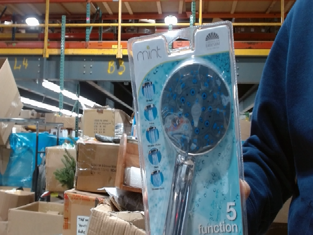 Mint Dream 5 Function Shower Head