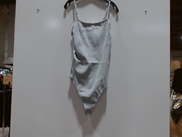 Gray Swimwear