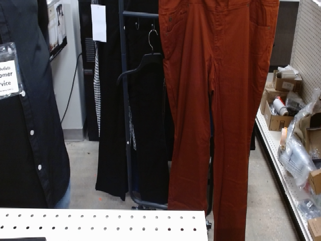 Rust Colored Pants