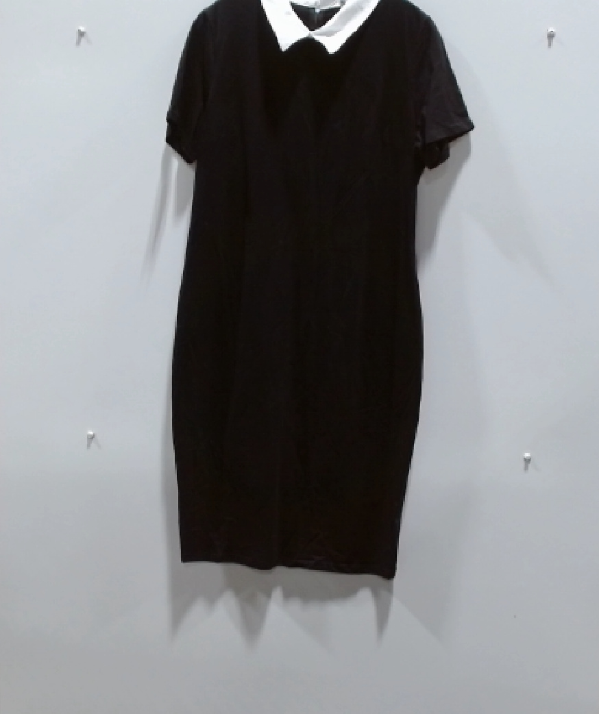 Classic Black & White Collared Dress