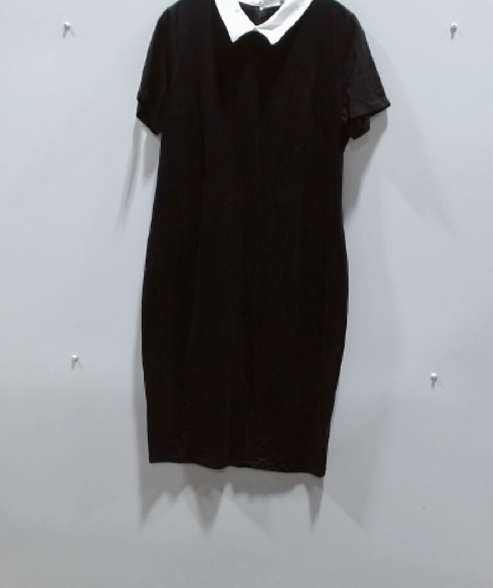 Classic Black & White Collared Dress