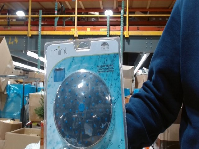 MINT Shower Head