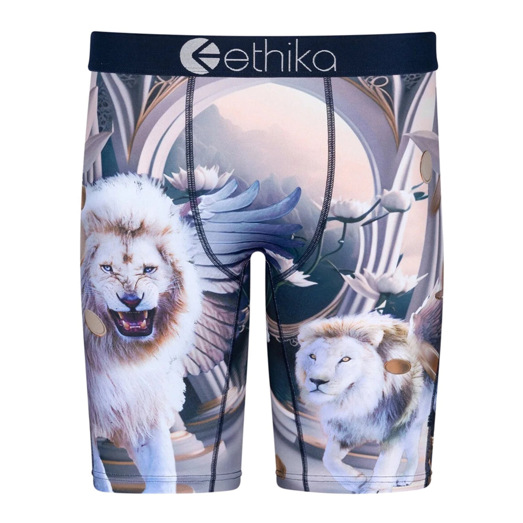 Ethika Heavenly Beasts Staple Fit Boxer Brief Mens Style : Mlus3149