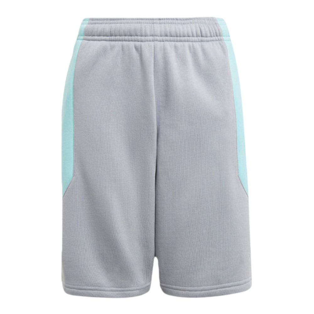Adidas Spirit Gfx Shorts Big Kids Style : Gn2313