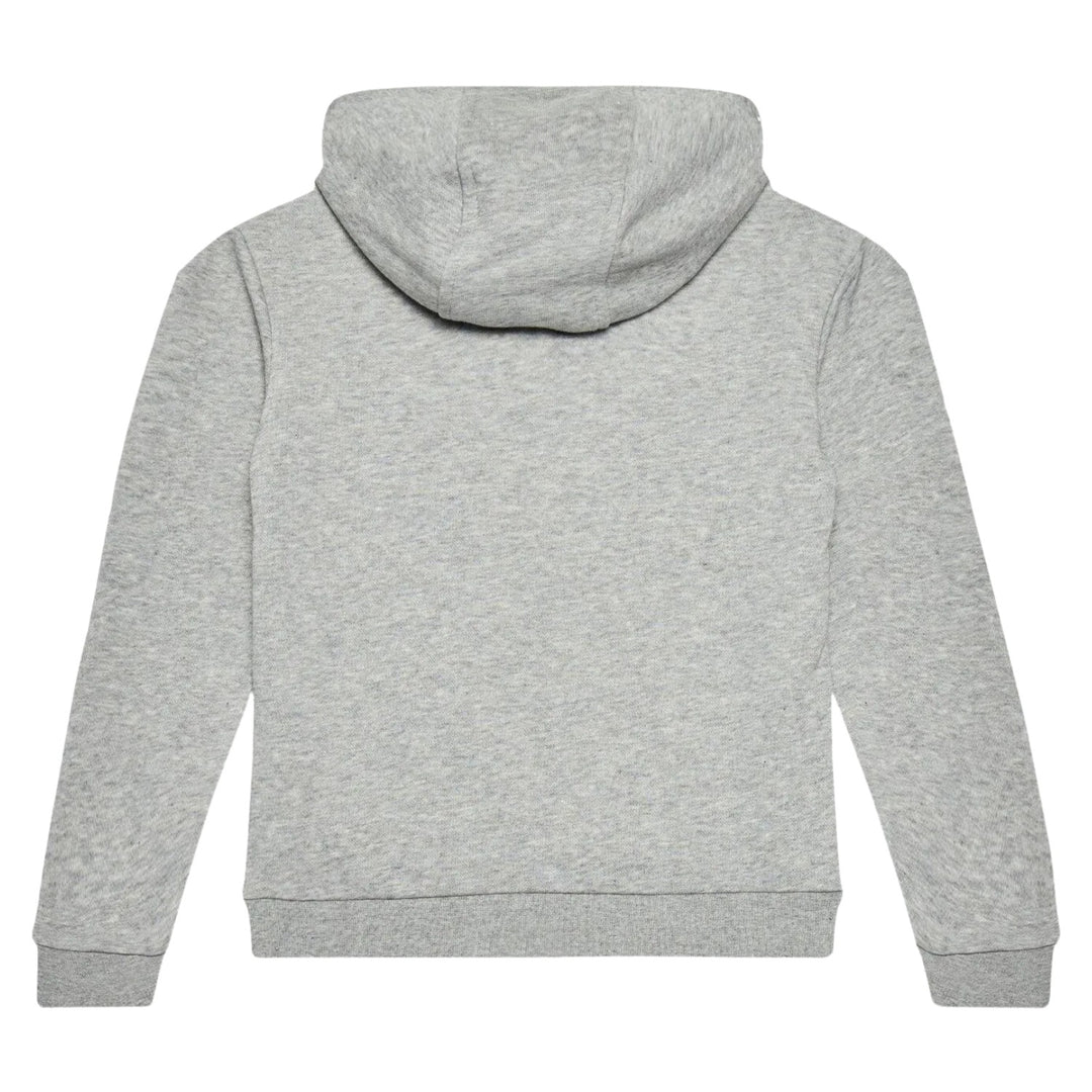 Adidas Trefoil Hoodie Big Kids Style : Ge1979