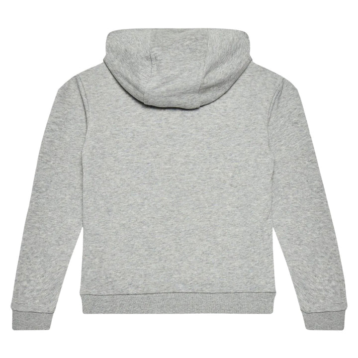Adidas Trefoil Hoodie Big Kids Style : Ge1979