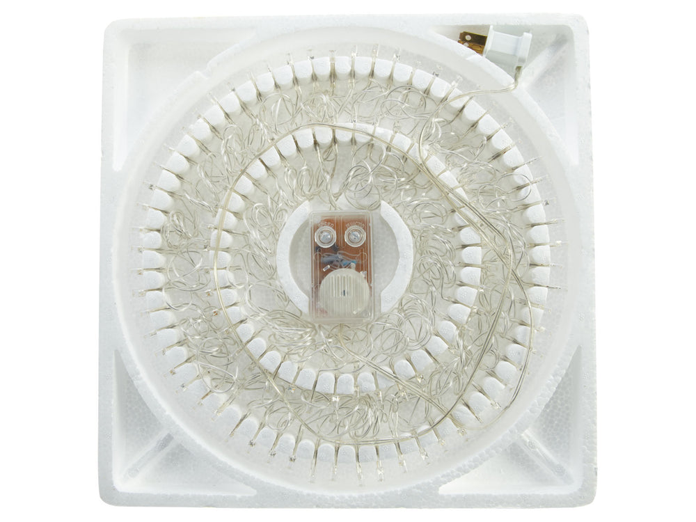 Everbright 100 Led X Mas Purple Light Not Applicable Style : Md100-p